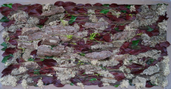 Tableau en écorces de pin, lichen et feuilles salal